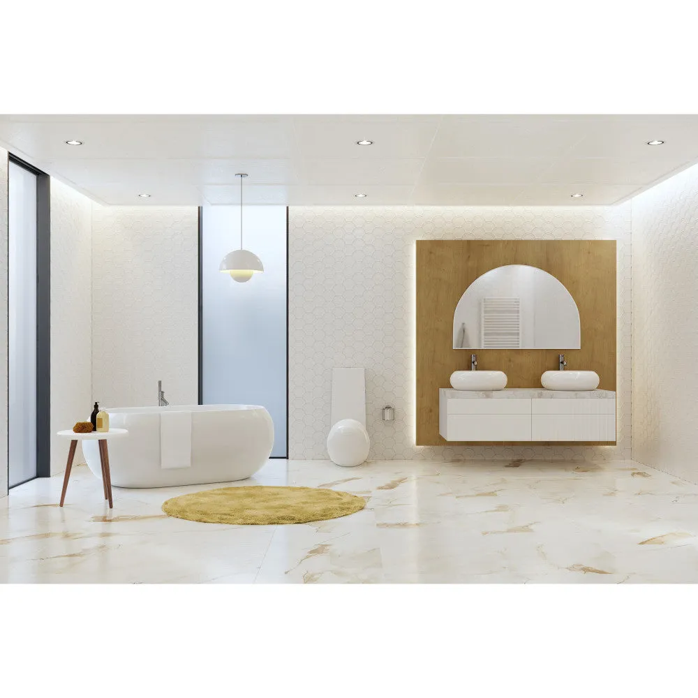 Plaisir One-Piece Elongated Toilet Dual-Flush 1.1/1.6 gpf