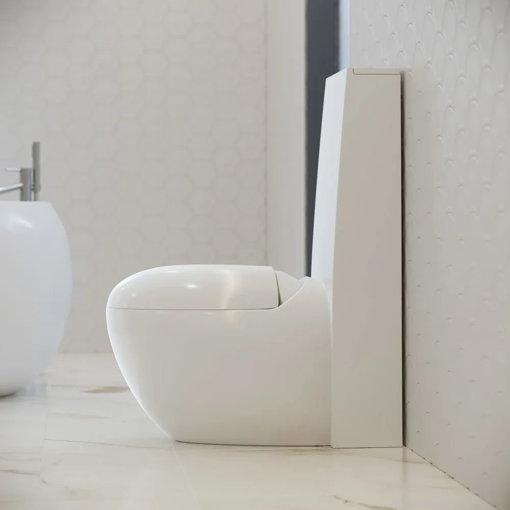 Plaisir One-Piece Elongated Toilet Dual-Flush 1.1/1.6 gpf